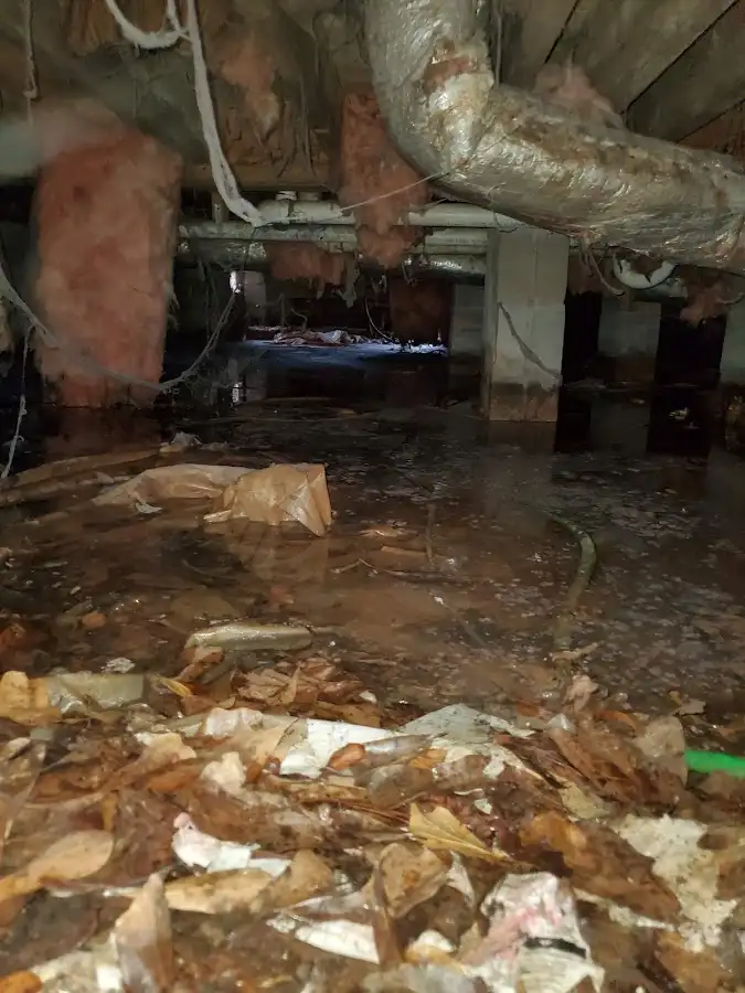 Crawl space flood assessment for Leak Detection & Repair in East Bay
