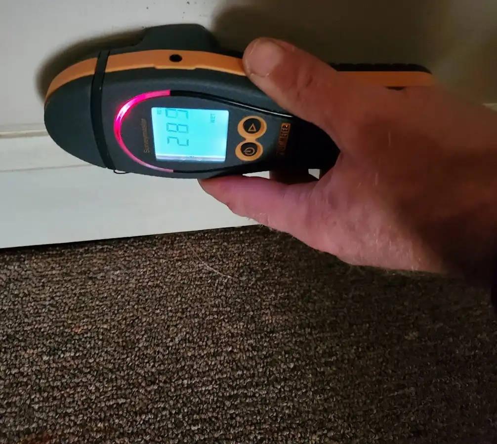 Moisture detection at baseboard during Sewage Cleanup & Sanitation in East Bay